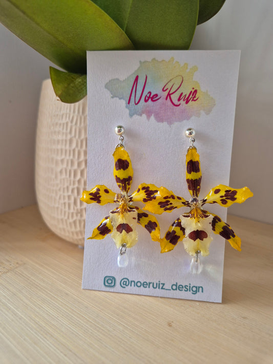 Pendientes orquídea amarilla y marrón