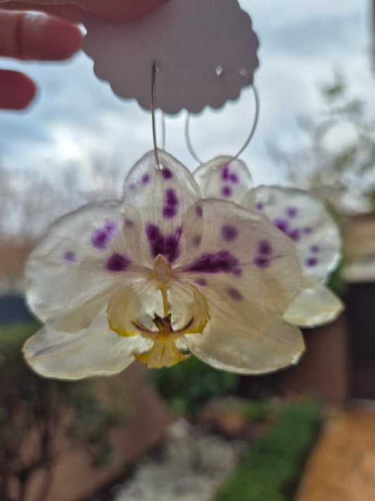Pendientes orquídea blanco y morado