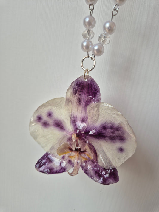 Colgante orquídea