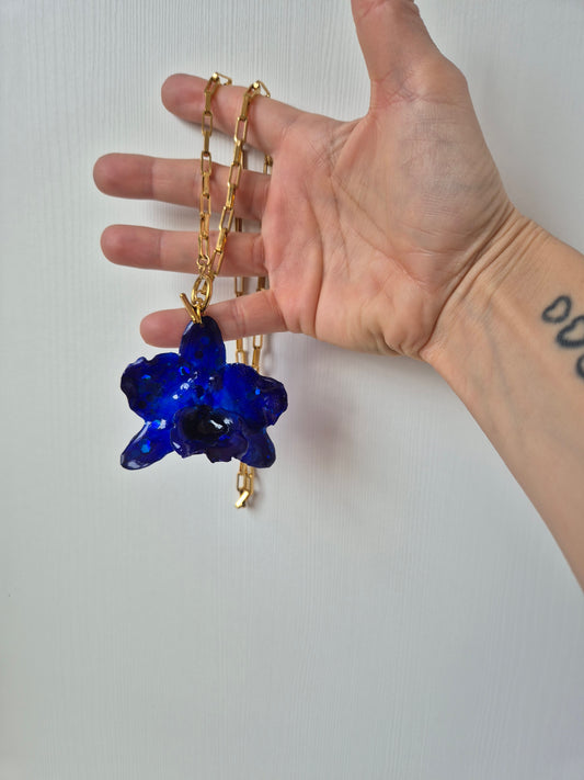 Colgante orquídea Dendrobium