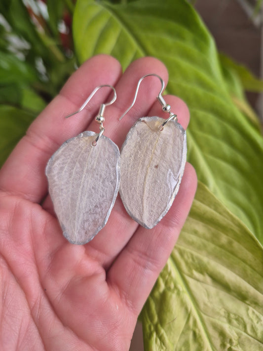 Pendientes pétalo orquídea blanca