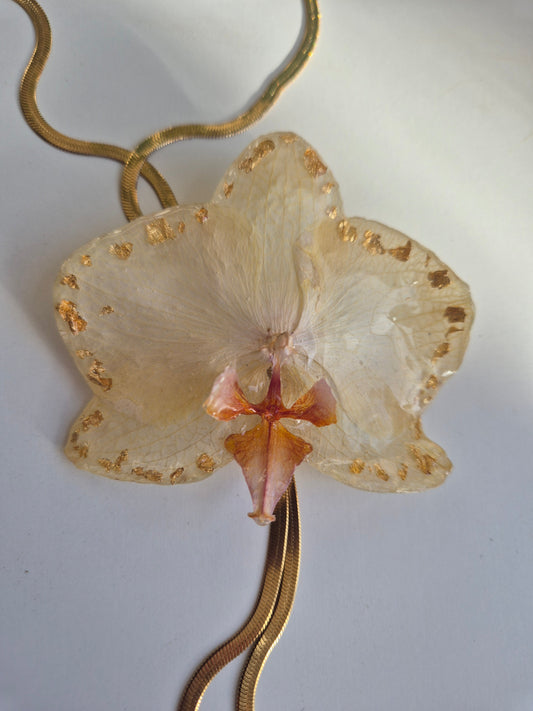 Colgante Orquídea Phalaenopsis ajustable