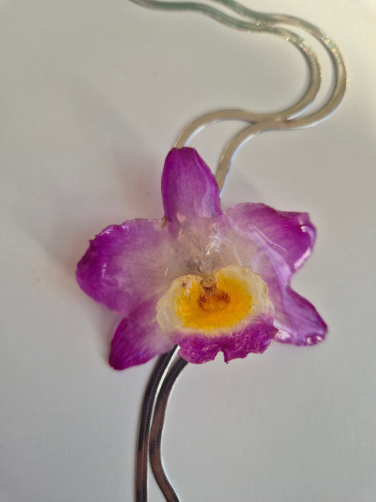 Colgante Orquídea Dendrobium Morado