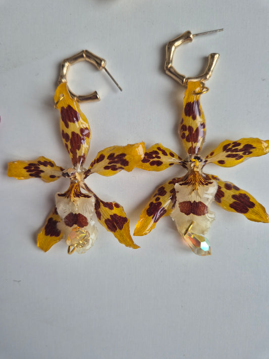 Pendientes orquídea marrón y amarillo