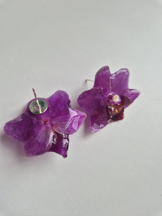 Pendientes orquídea