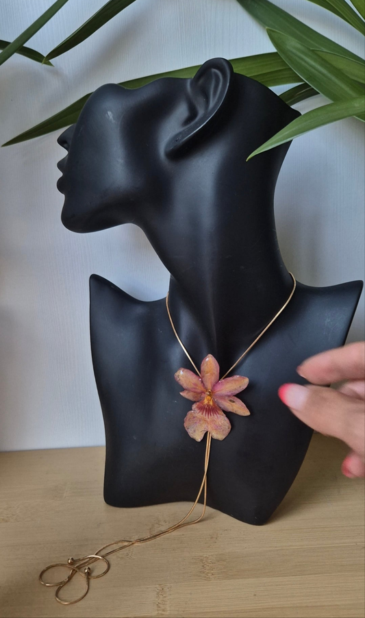 Colgante orquidea Cambria