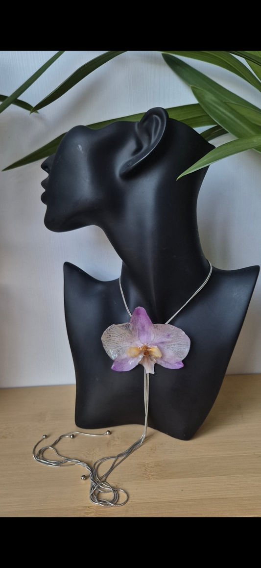 Colgante orquidea Phalaenopsis regulable