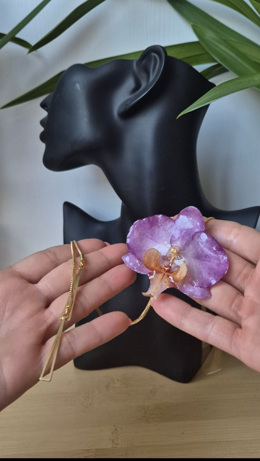 Colgante orquidea Phalaenopsis