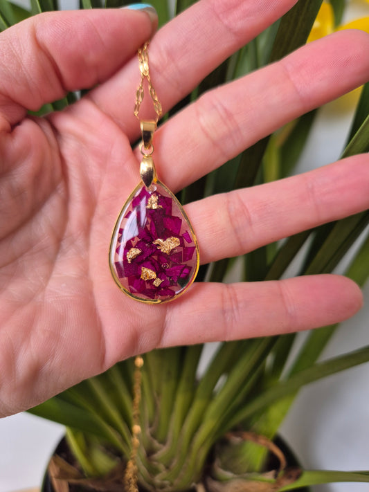 Conjunto pétalos de rosa