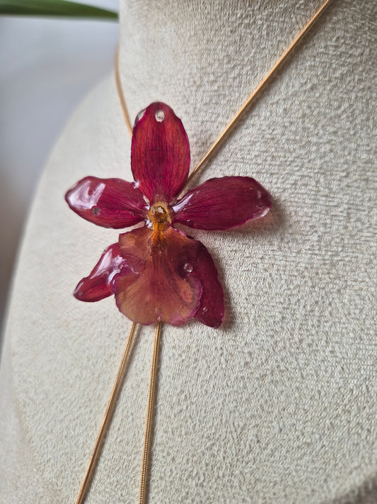 Colgante regulable de orquídea Cambria mini