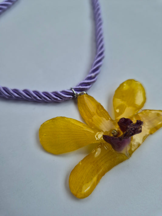 Colgante orquidea Dendrobium