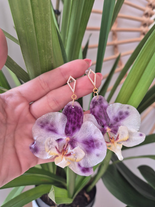 Pendientes orquidea Phalaenopsis