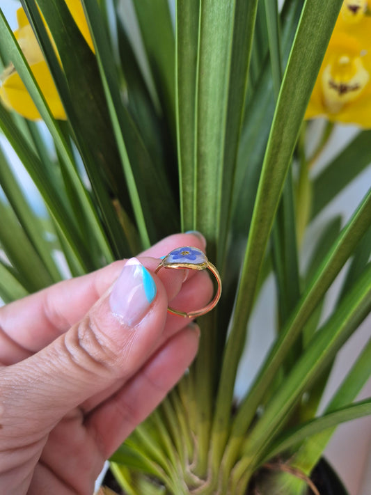 Anillo ajustable siempre viva