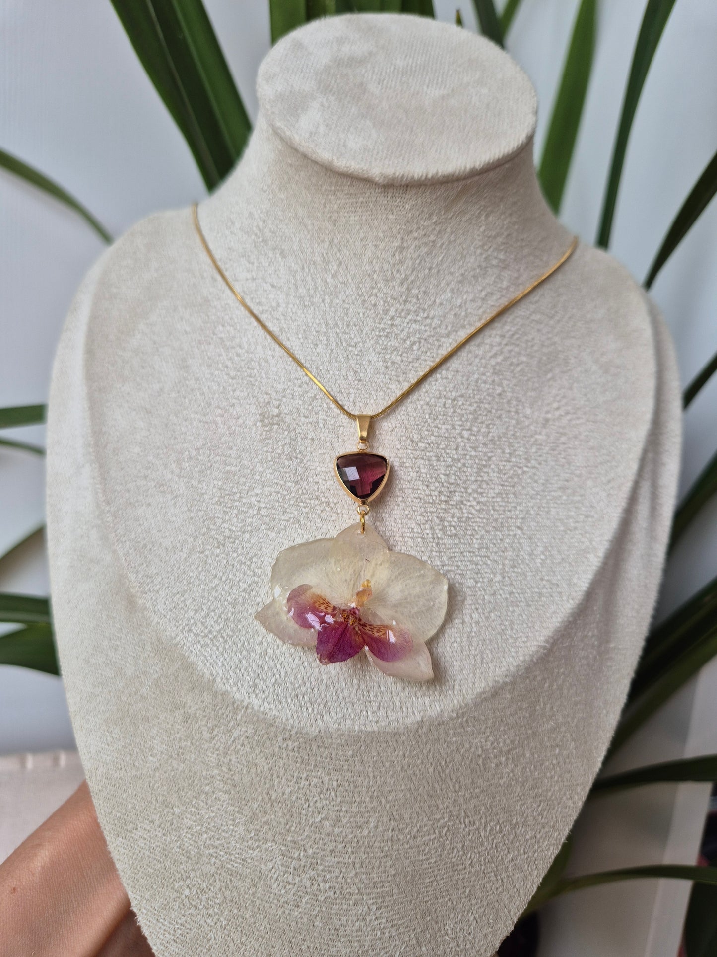 Colgante orquidea Phalaenopsis