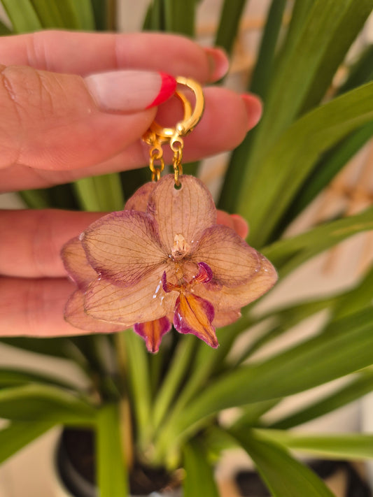 Pendientes orquidea mini