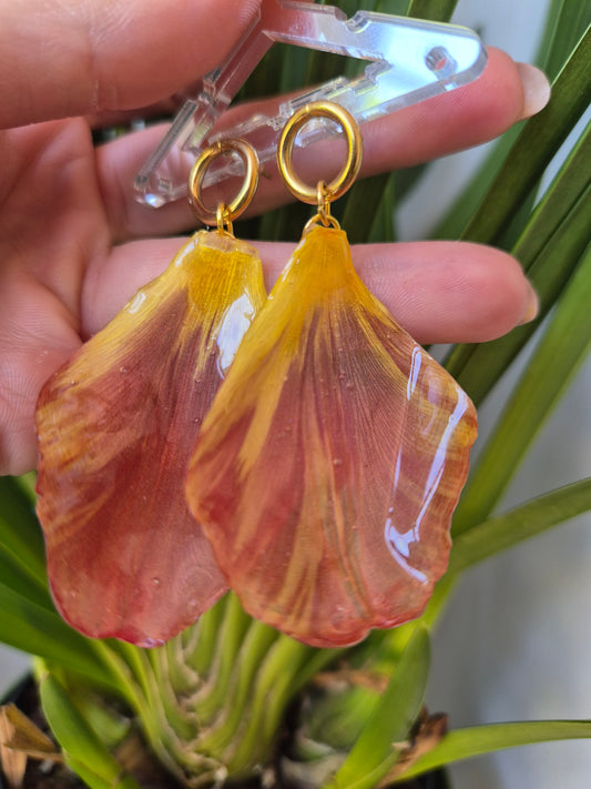 Pendientes pétalos tulipán