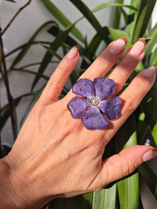 Anillo flor Vinca Menor