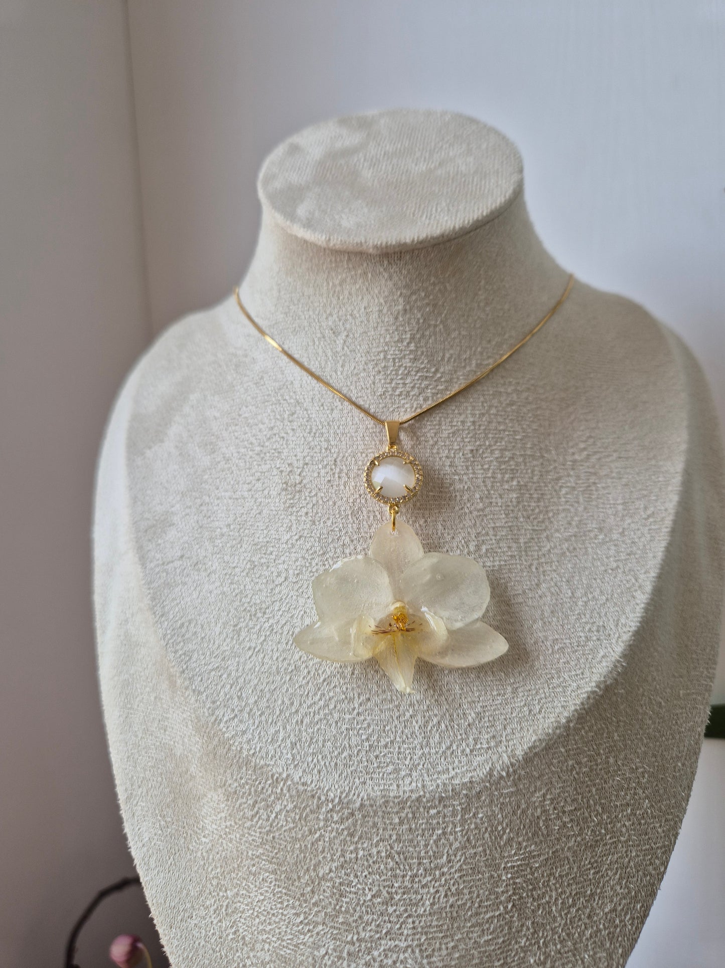 Colgante orquidea Phalaenopsis