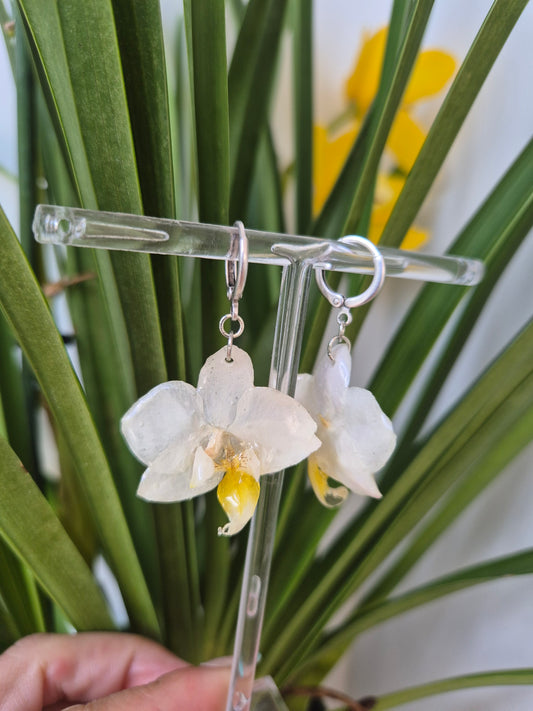 Pendientes orquidea mini