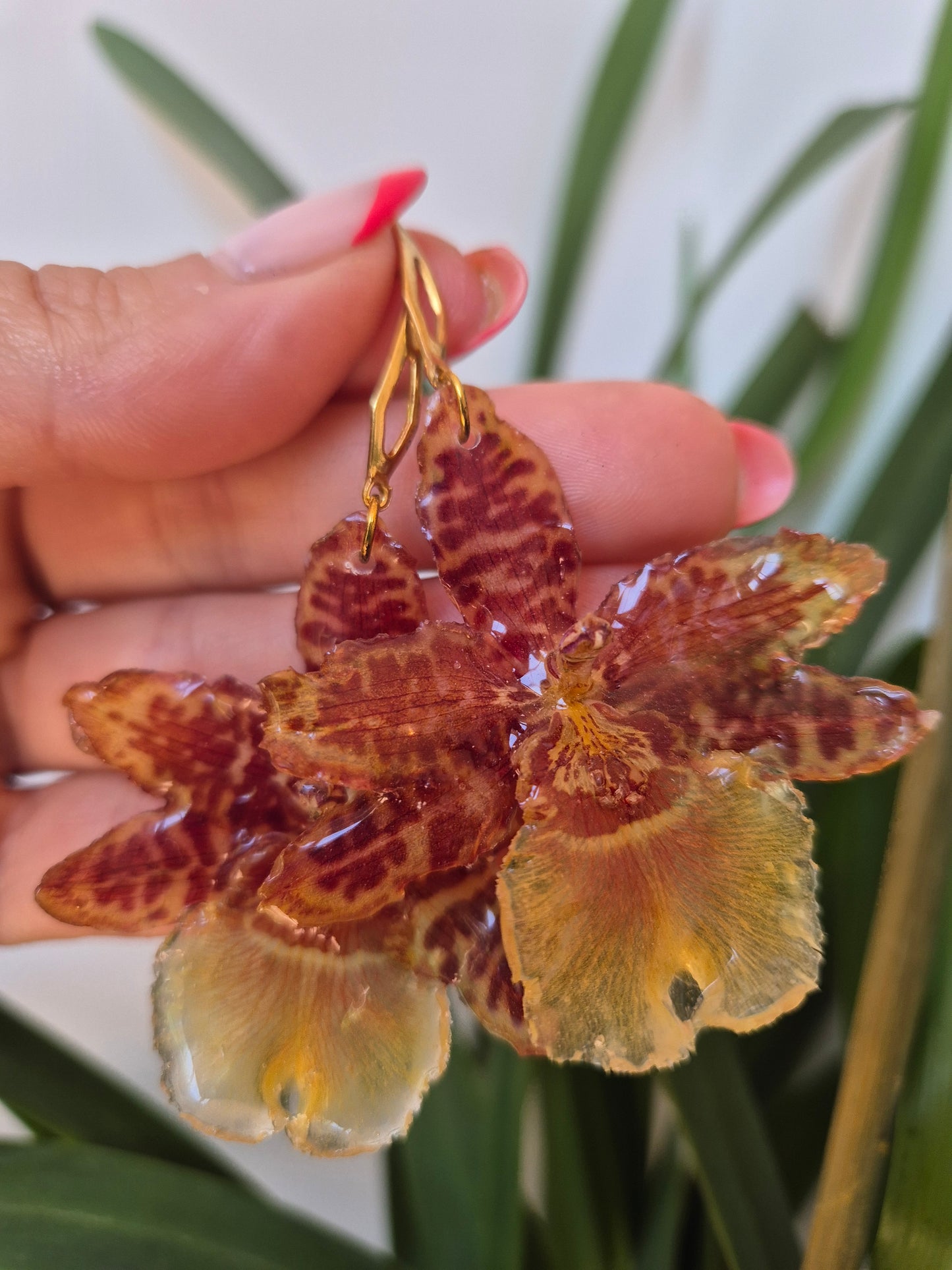 Pendientes orquídea Cambria