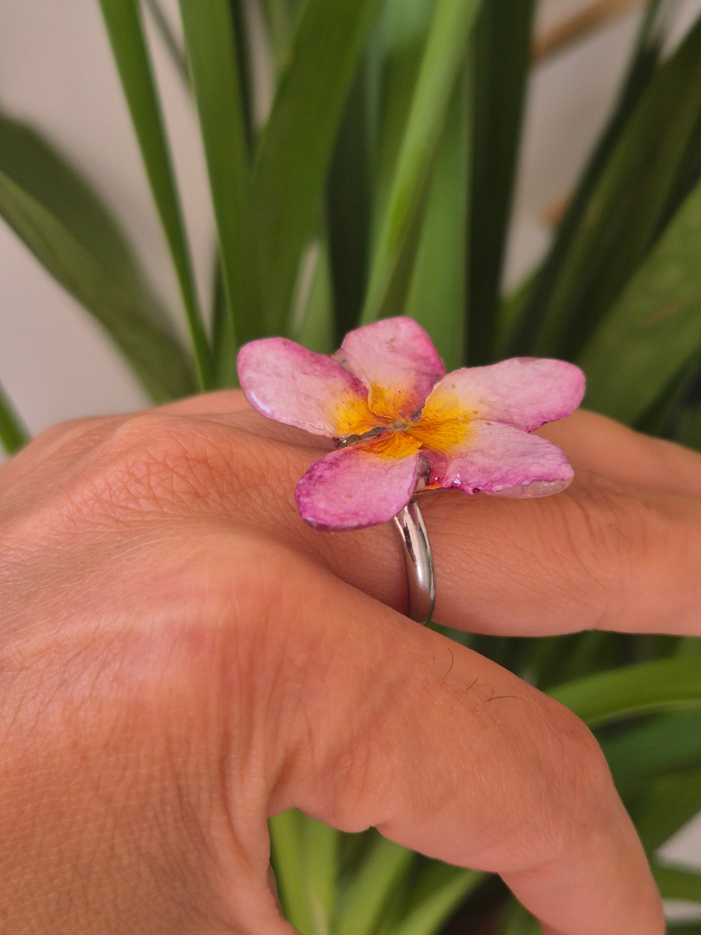 Anillo plumeria rosada