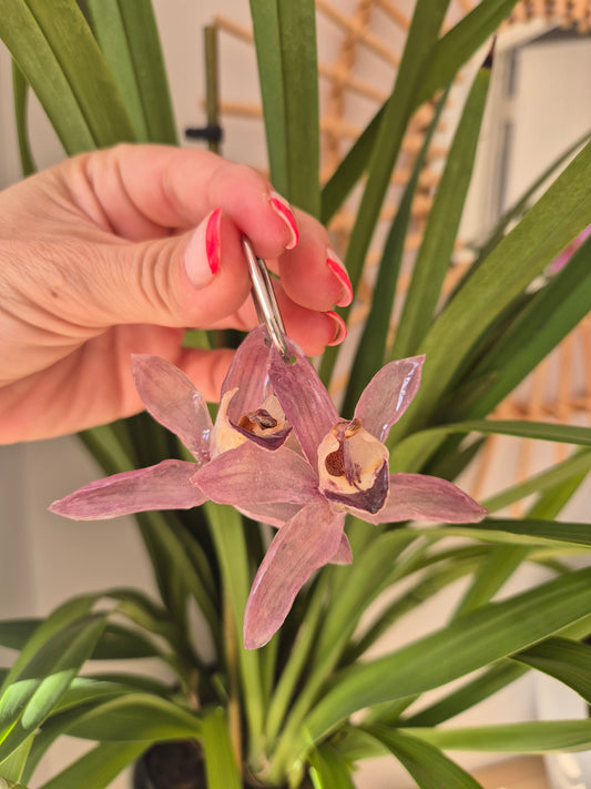 Pendientes orquidea Cymbidium