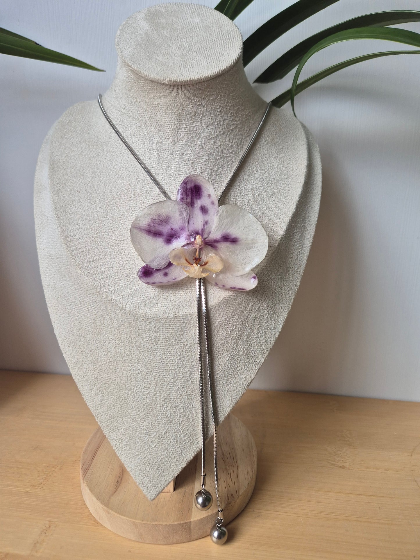 Colgante regulable de orquídea Phalaenopsis