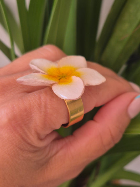 Anillo plumeria blanca