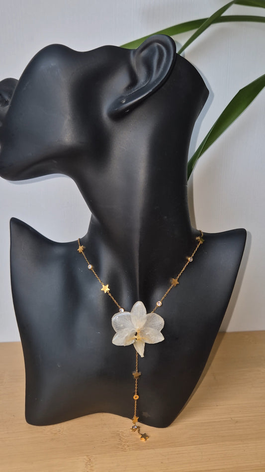 Colgante orquidea Phalaenopsis