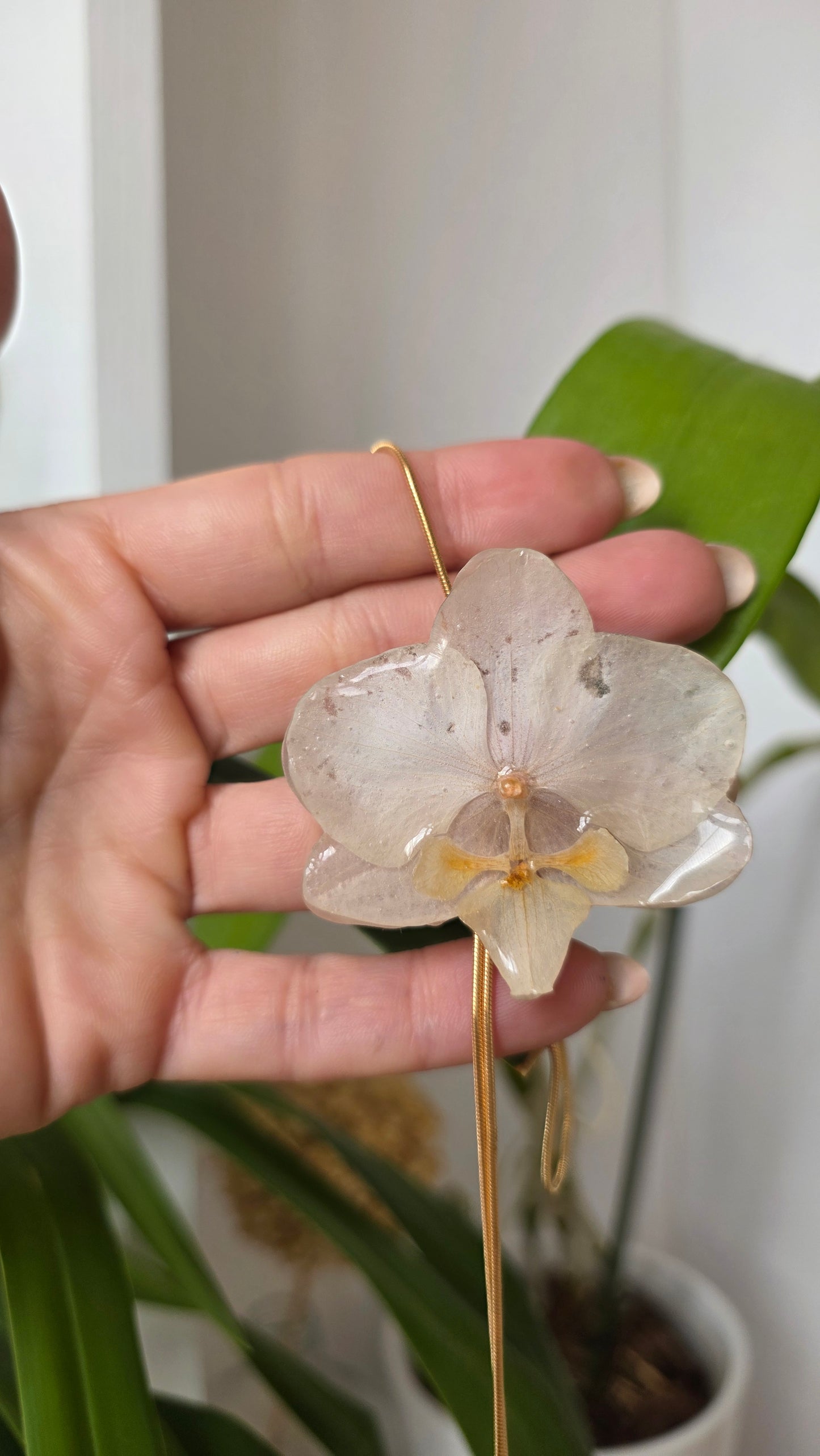 Collar regulable de orquidea.