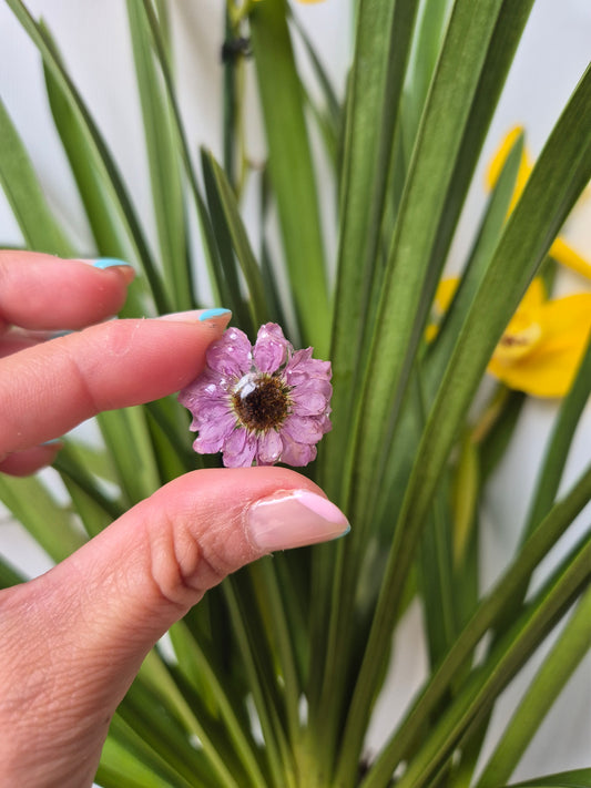 Pendientes de margaritas lilas