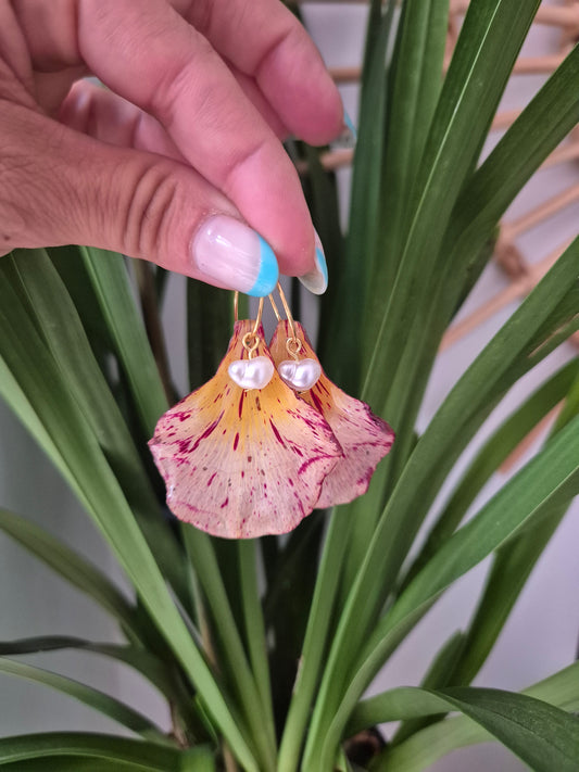 Pendientes flamboyan