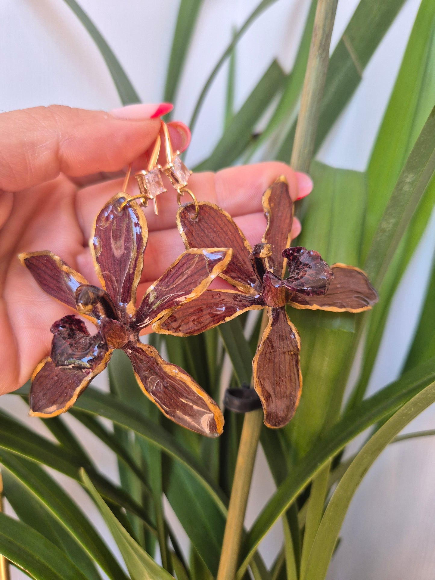 Pendientes orquidea Cymbidium