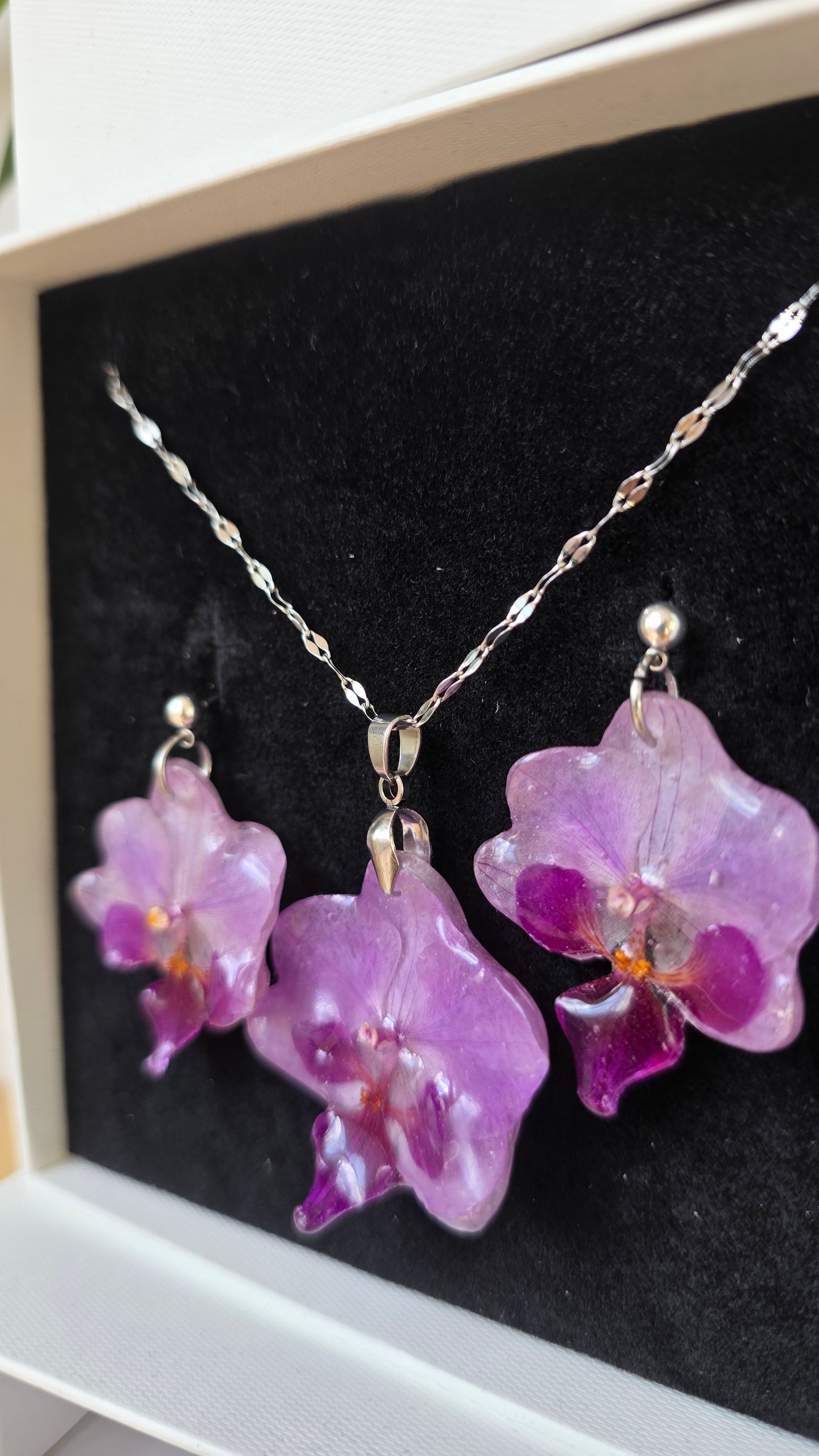 Conjunto orquidea Phalaenopsis