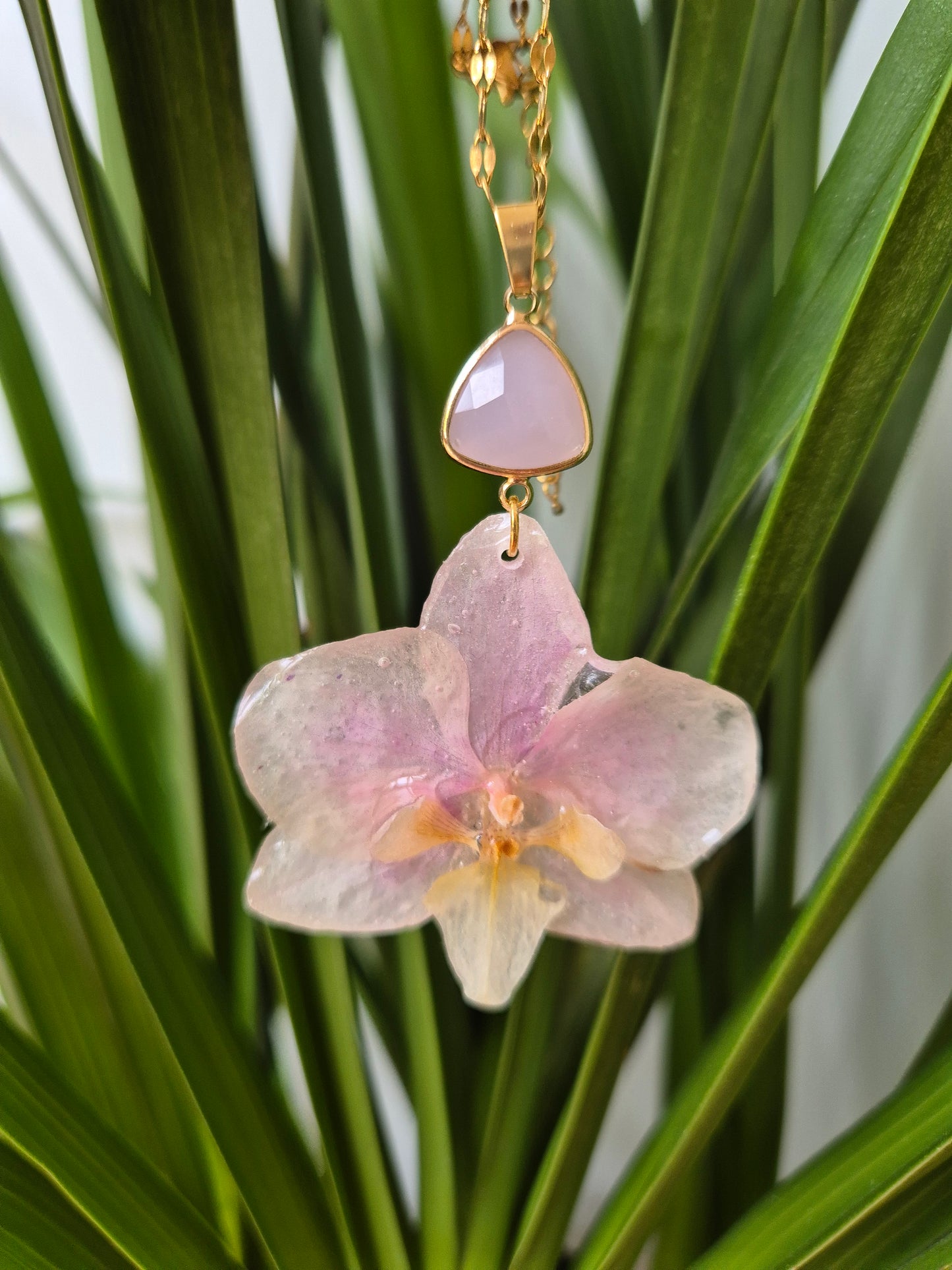 Colgante orquidea Phalaenopsis