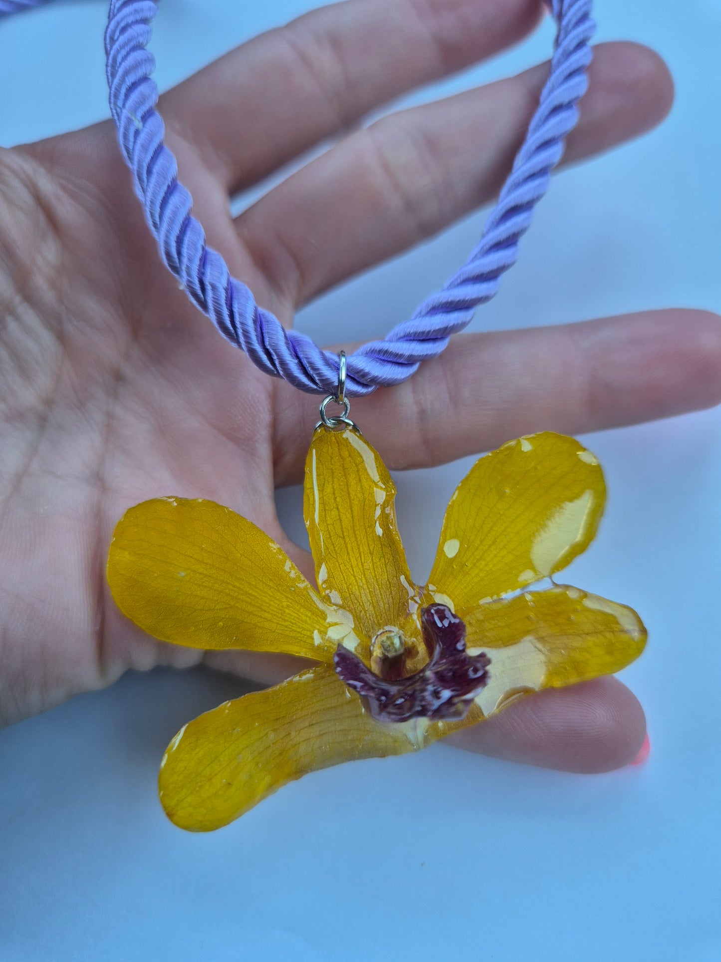 Colgante orquidea Dendrobium