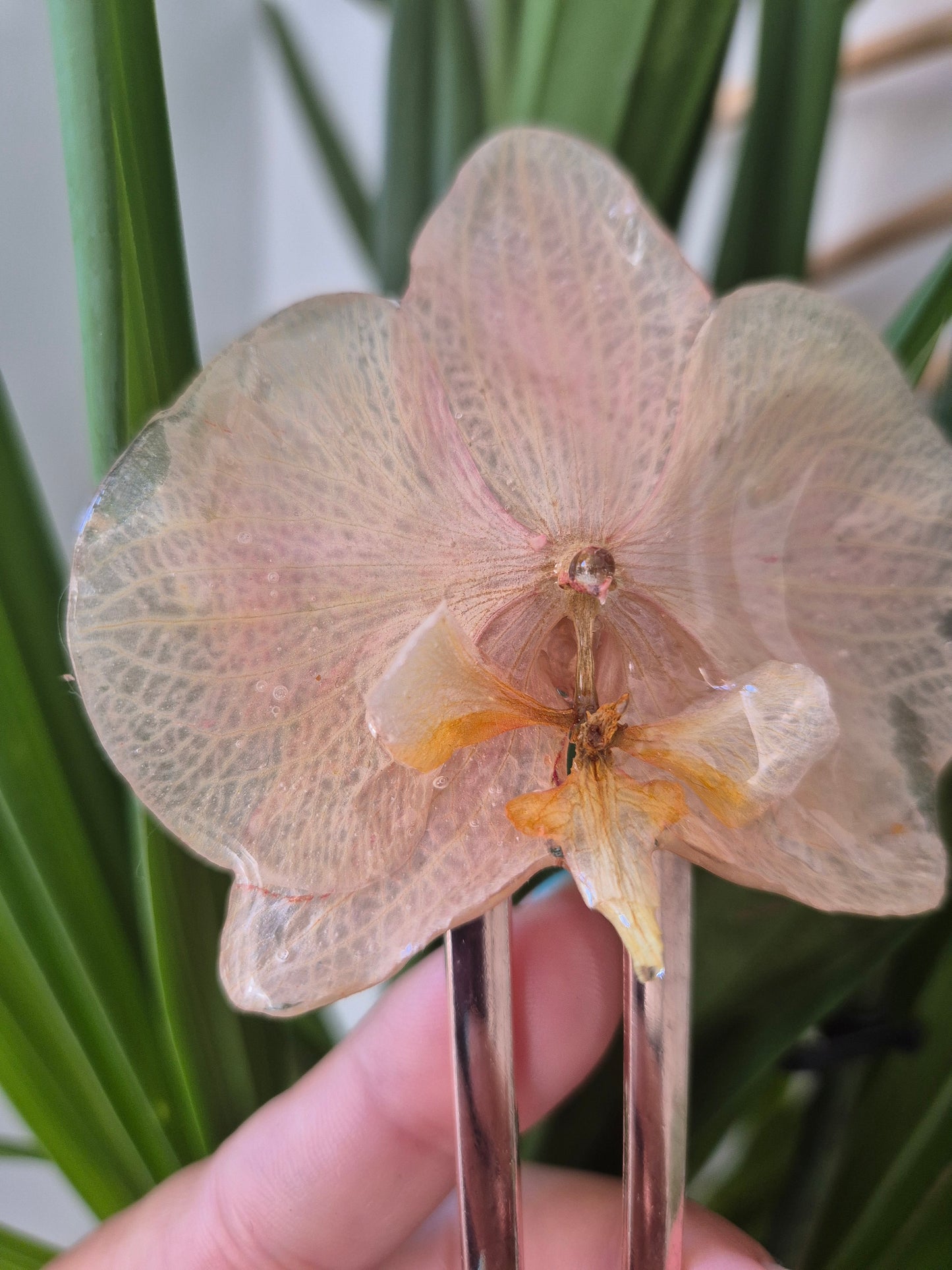Horquilla de orquidea real