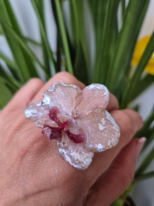 Anillo ajustable orquídea Phalaenopsis