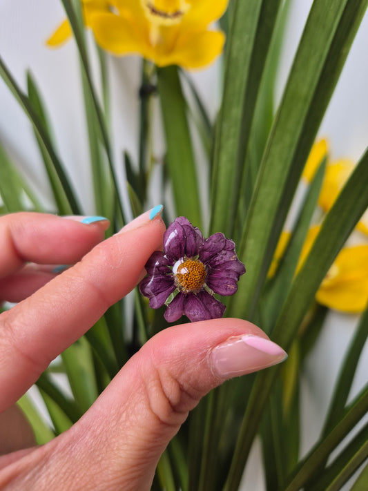 Pendientes de margaritas moradas