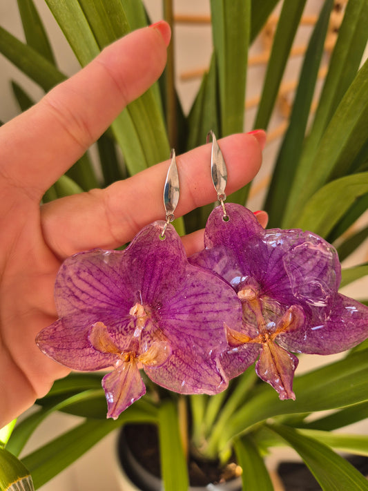 Pendientes orquidea Phalaenopsis