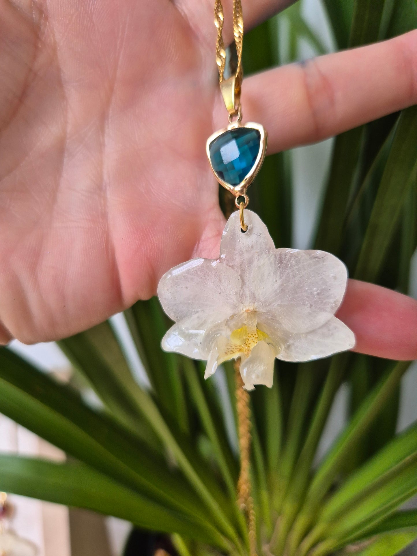 Colgante orquidea Phalaenopsis