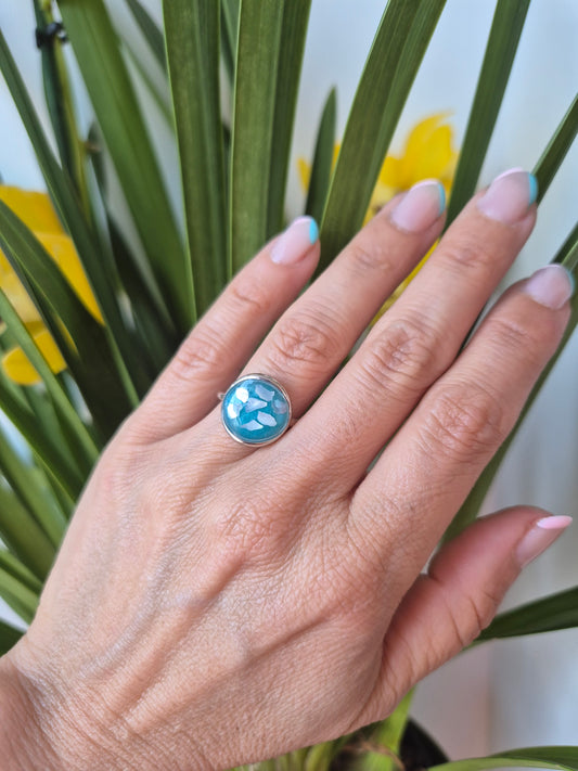 Anillo de concha de mar