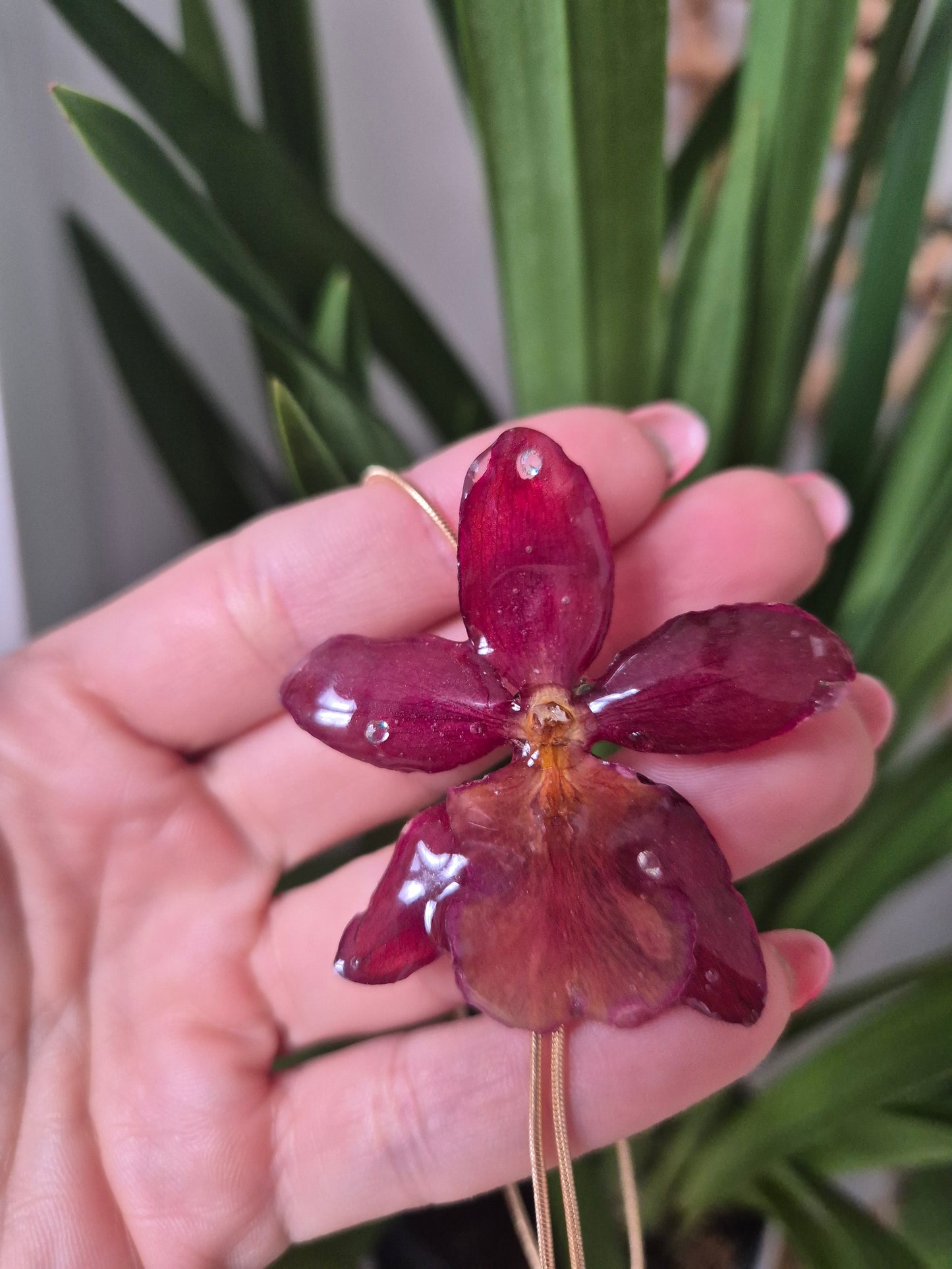 Colgante regulable de orquídea Cambria mini