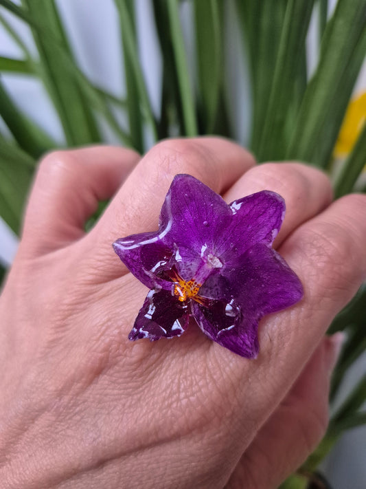Anillo ajustable orquídea Phalaenopsis