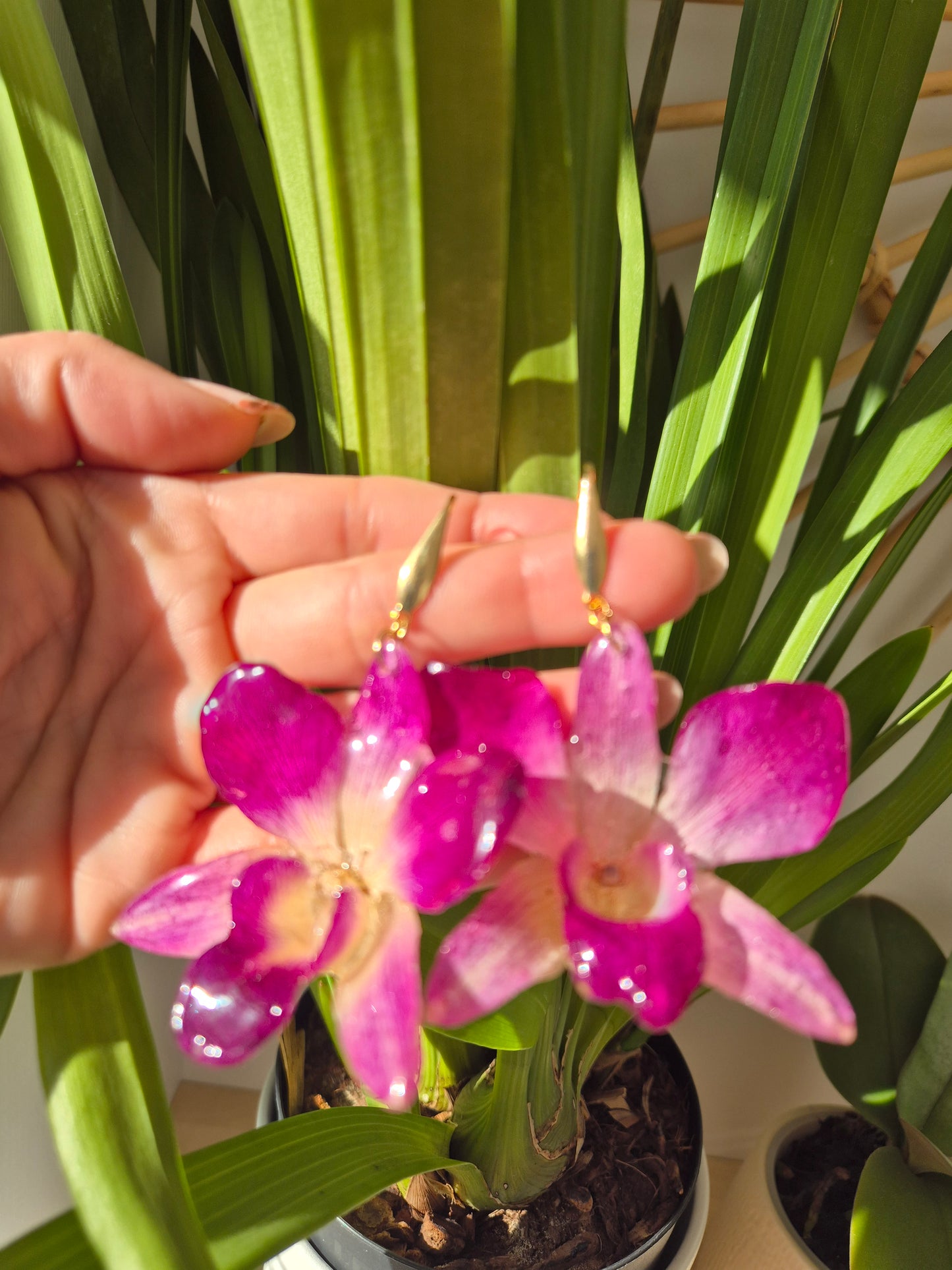 Pendientes orquidea Dendrobium