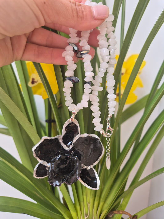 Colgante orquídea Dendrobium