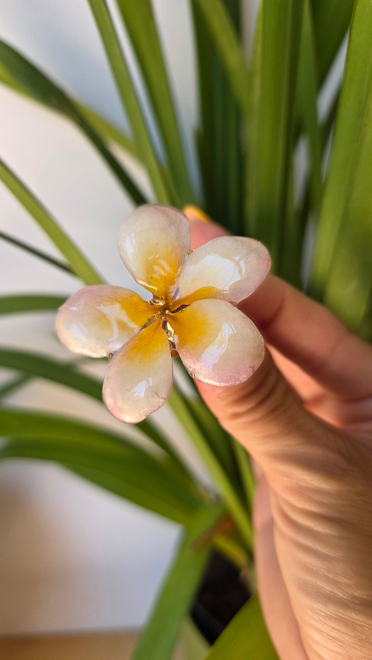 Anillo Plumeria blanca