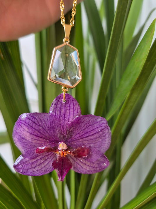 Colgante orquidea Phalaenopsis