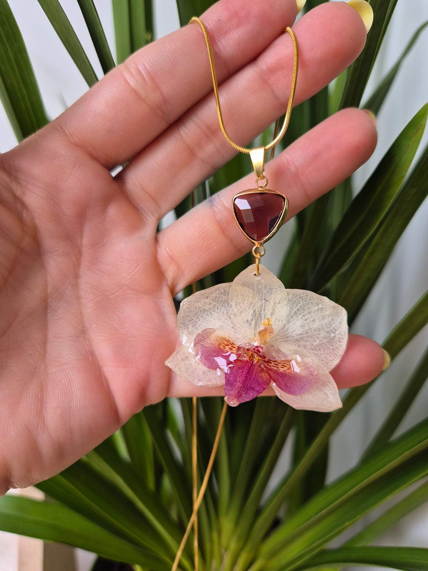 Colgante orquidea Phalaenopsis