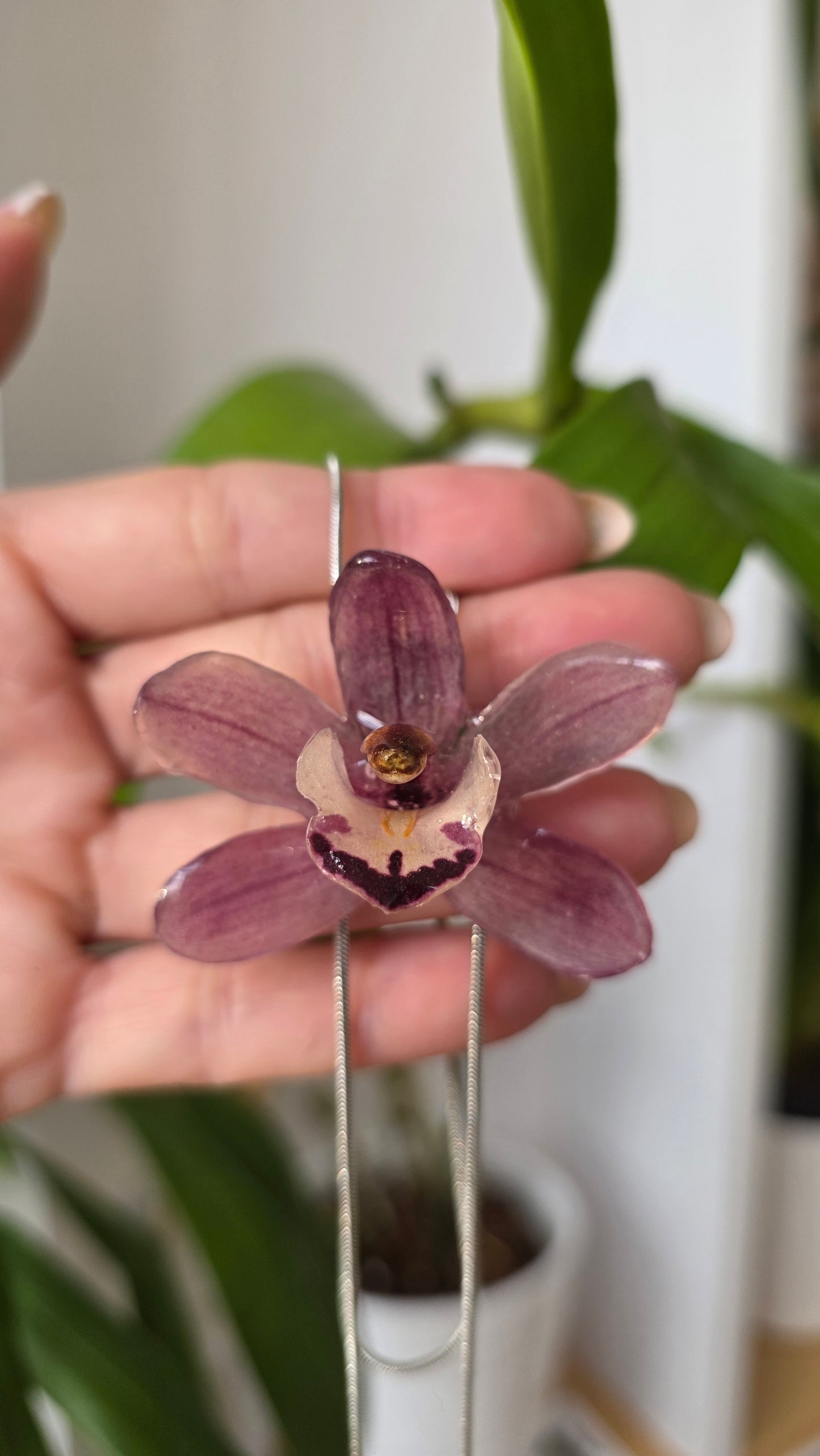 Collar regulable de orquidea.